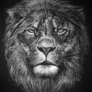 Meet your Posher, Marlin